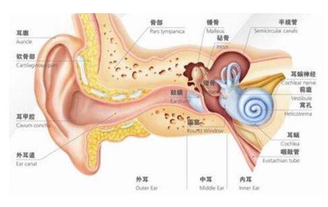 耳朵畸形怎么办？可以做矫正吗？