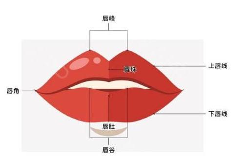 玻尿酸丰唇后多久能接吻？打开kiss的正确方式！