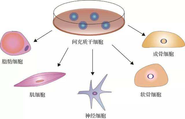 隆鼻果怎么样？这个手术到底是个啥？！