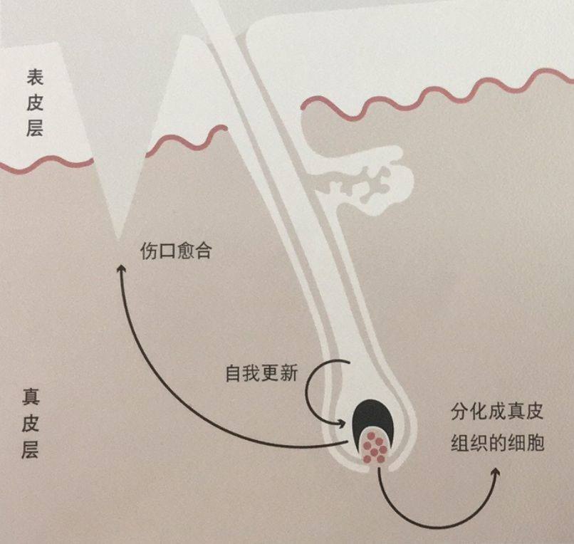 隆鼻果怎么样？这个手术到底是个啥？！