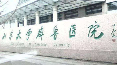 山东大学齐鲁医院桓台分院整形外科&概况浏览