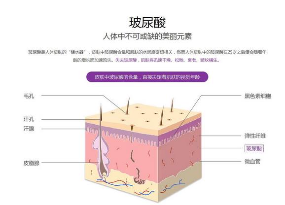 玻尿酸填充和脂肪填充哪个好？六个知识点深度分析！选择困难者福音来了